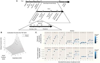 The effects of targeted vagus nerve stimulation on glucose homeostasis in STZ-induced diabetic rodents